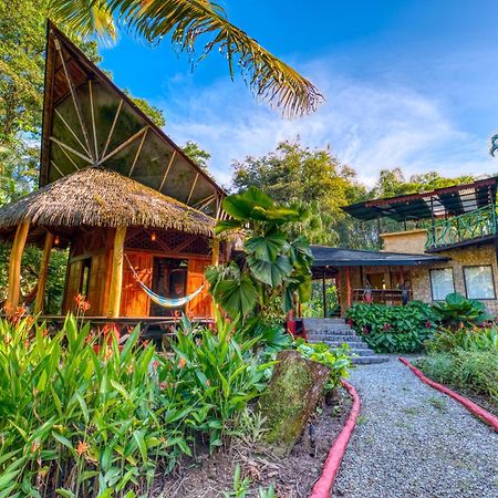 Tree House Beachfront Lodge Puerto Viejo de Talamanca Eksteriør billede