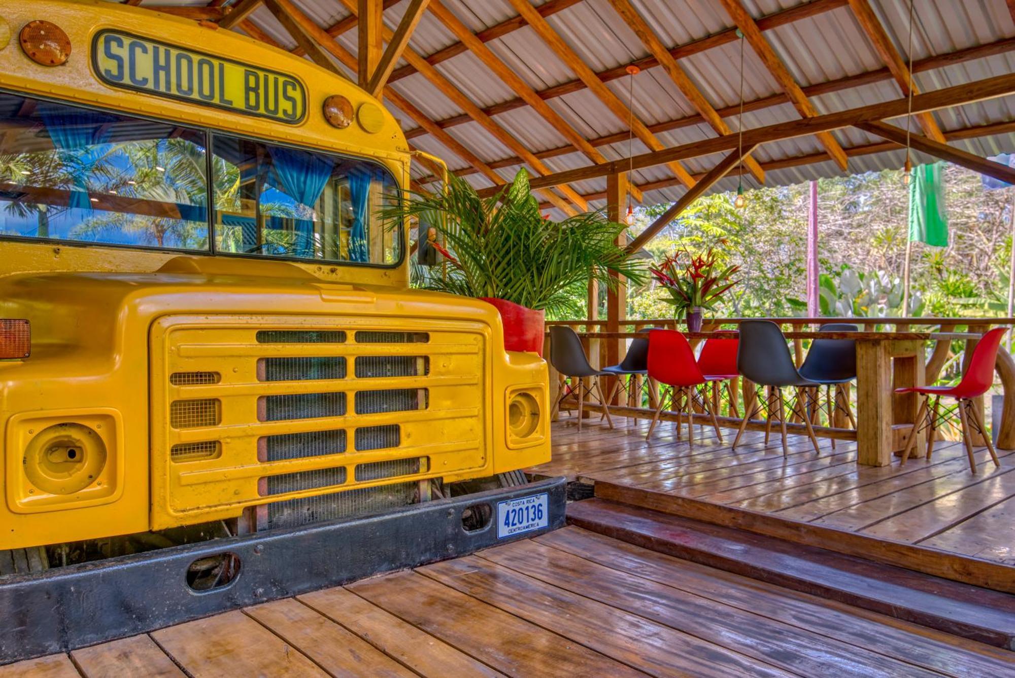 Tree House Beachfront Lodge Puerto Viejo de Talamanca Eksteriør billede