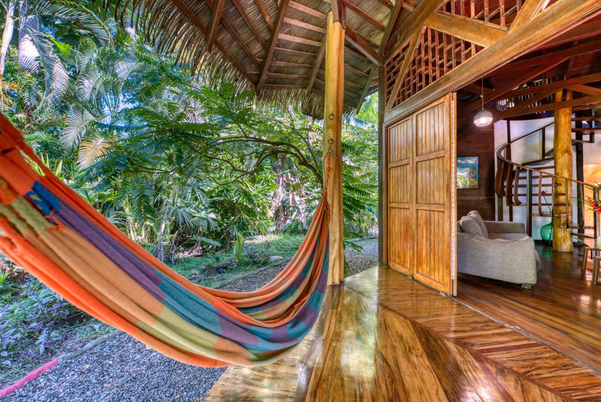 Tree House Beachfront Lodge Puerto Viejo de Talamanca Eksteriør billede