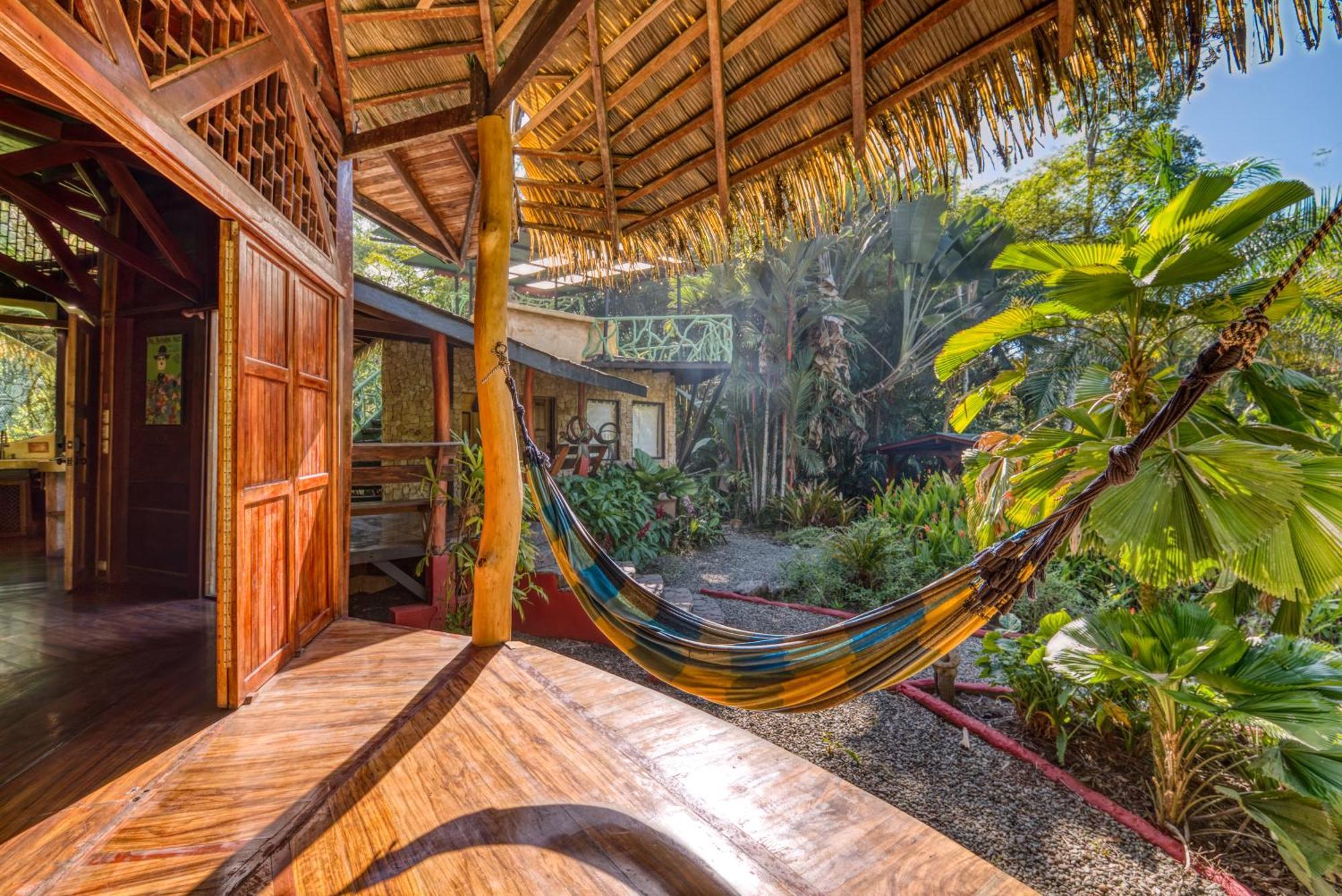 Tree House Beachfront Lodge Puerto Viejo de Talamanca Eksteriør billede