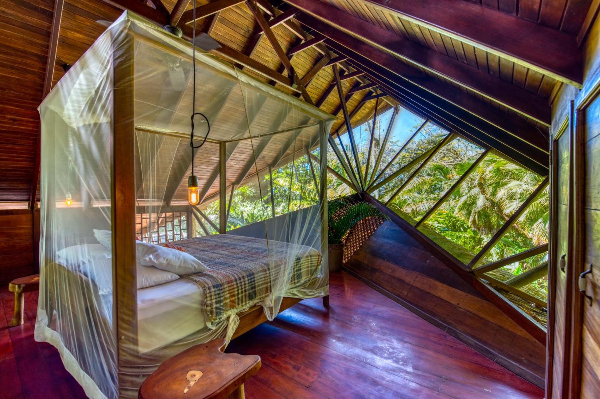 Tree House Beachfront Lodge Puerto Viejo de Talamanca Eksteriør billede