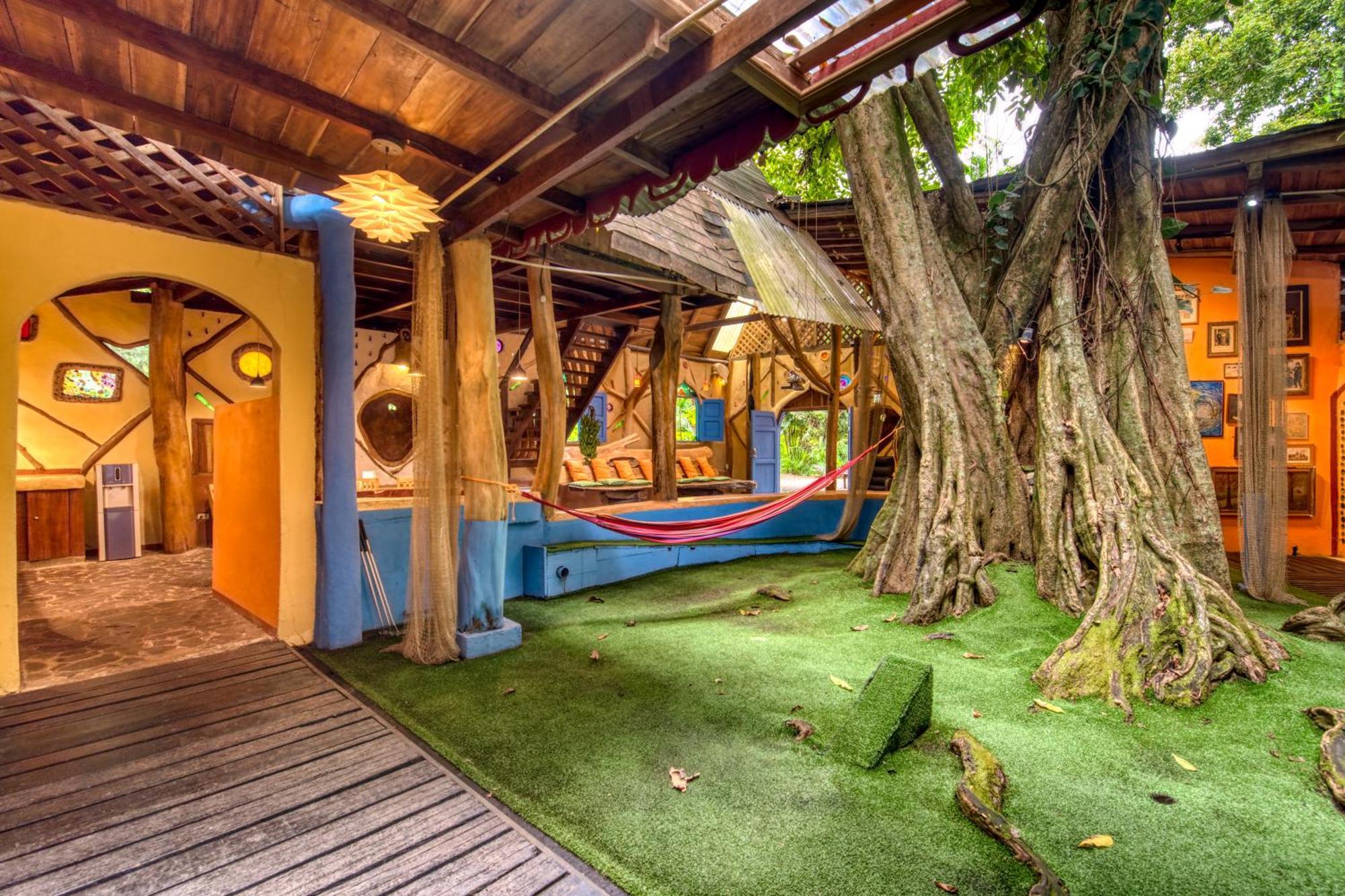 Tree House Beachfront Lodge Puerto Viejo de Talamanca Eksteriør billede