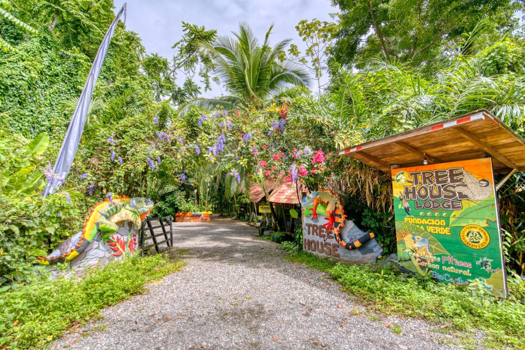 Tree House Beachfront Lodge Puerto Viejo de Talamanca Eksteriør billede