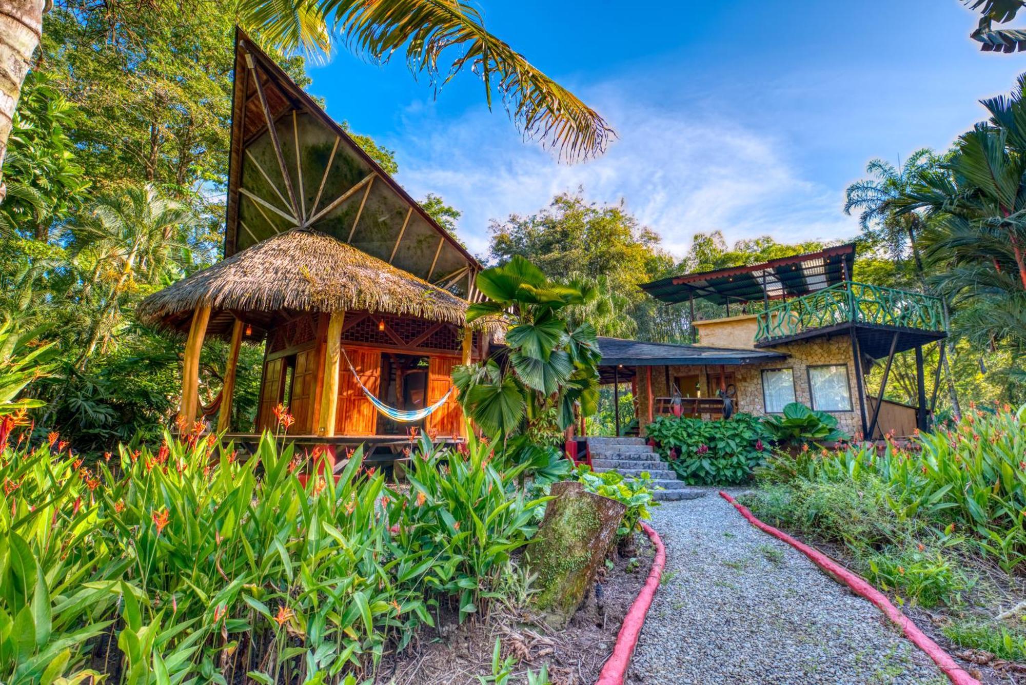 Tree House Beachfront Lodge Puerto Viejo de Talamanca Eksteriør billede