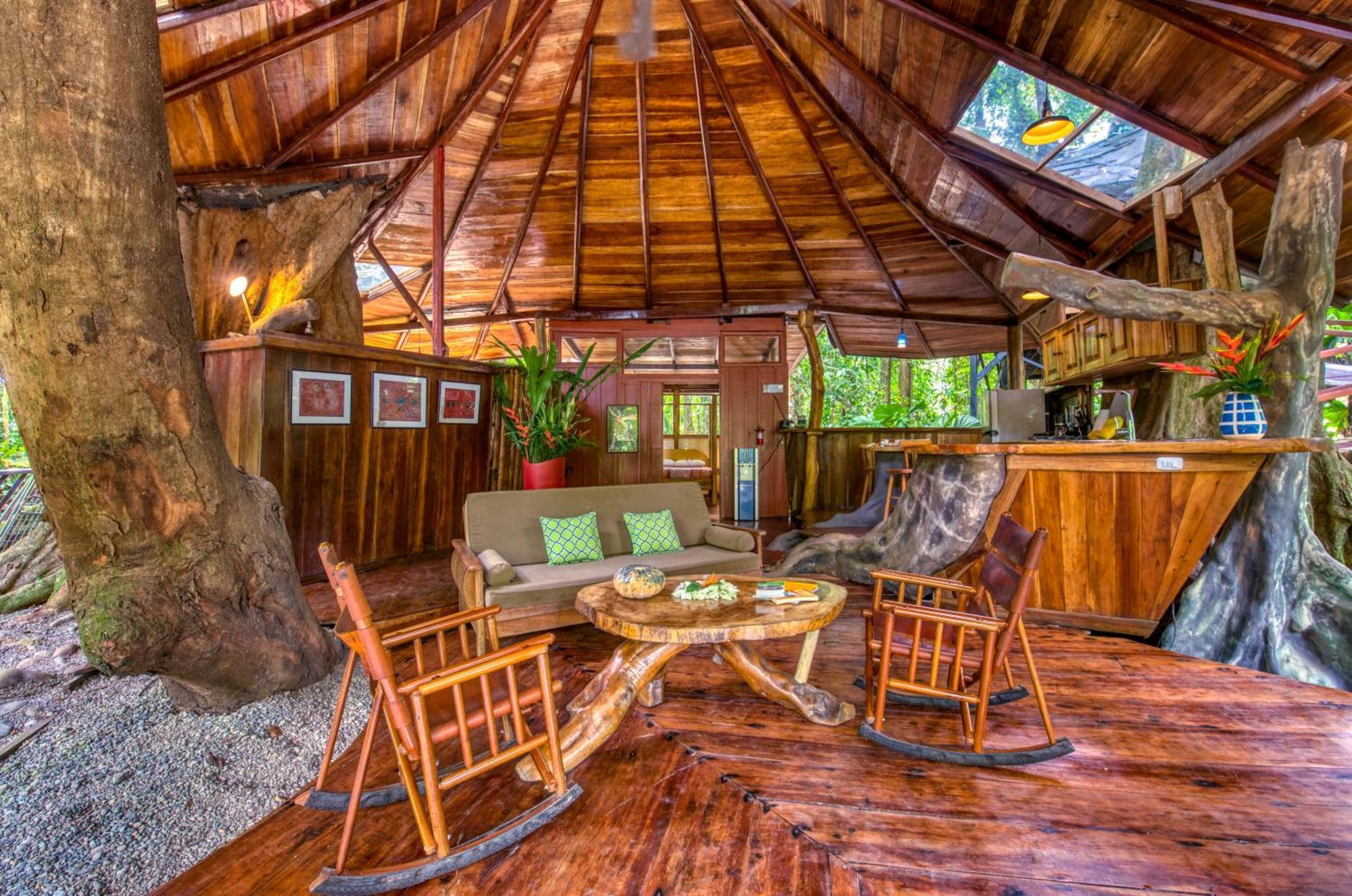 Tree House Beachfront Lodge Puerto Viejo de Talamanca Eksteriør billede