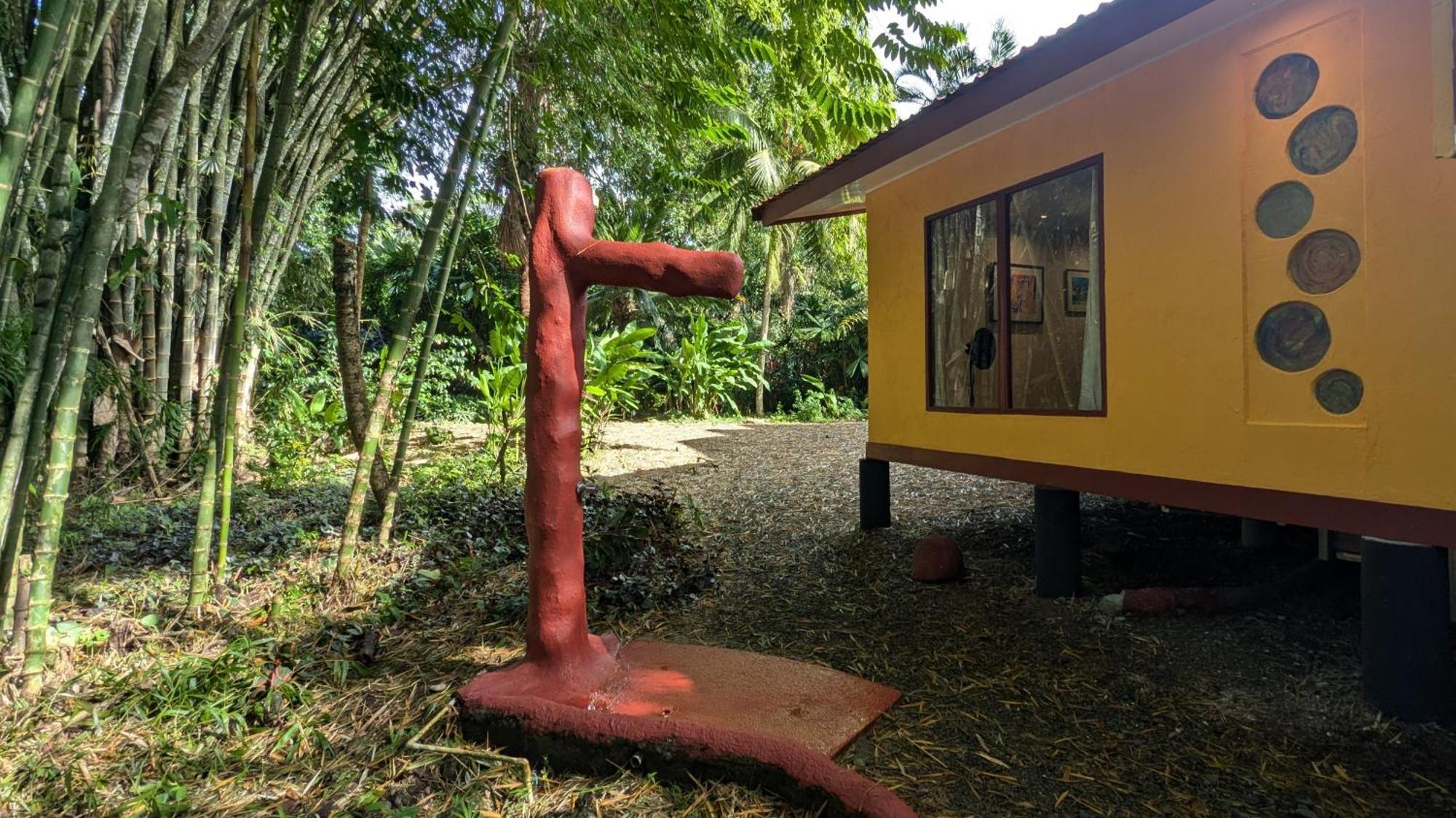 Tree House Beachfront Lodge Puerto Viejo de Talamanca Eksteriør billede