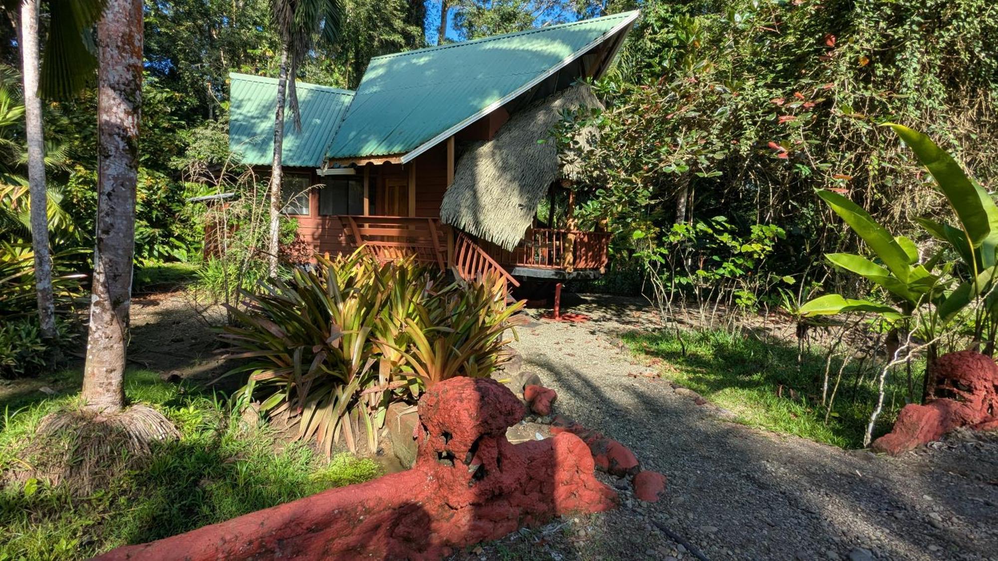 Tree House Beachfront Lodge Puerto Viejo de Talamanca Eksteriør billede