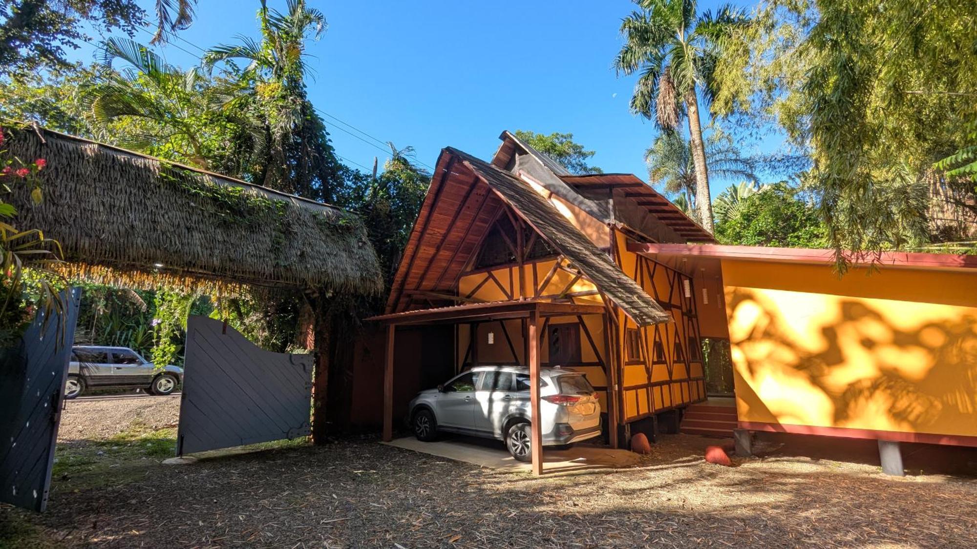 Tree House Beachfront Lodge Puerto Viejo de Talamanca Eksteriør billede