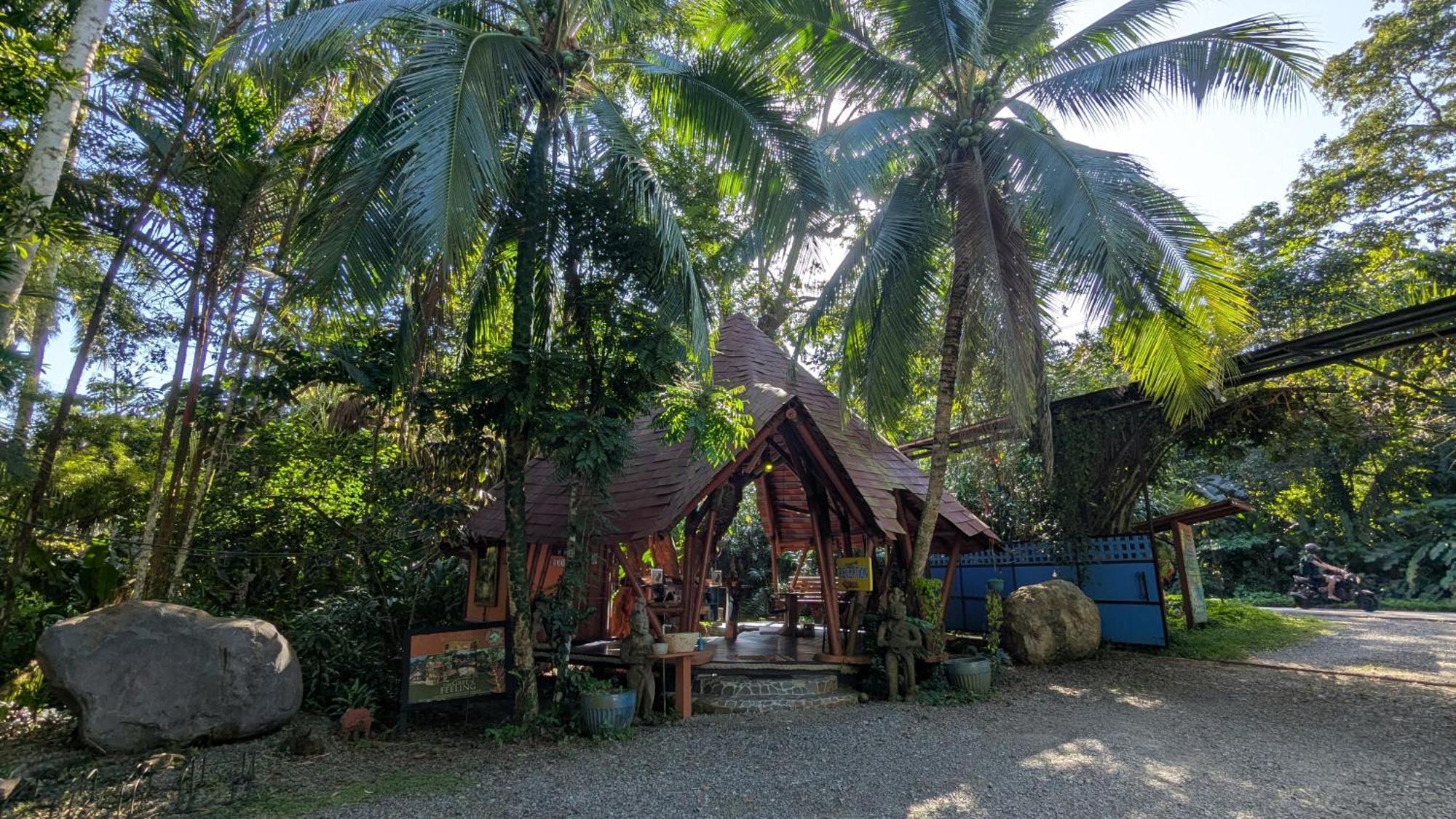 Tree House Beachfront Lodge Puerto Viejo de Talamanca Eksteriør billede