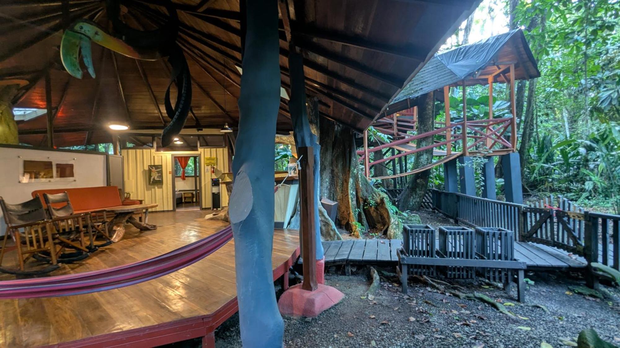 Tree House Beachfront Lodge Puerto Viejo de Talamanca Eksteriør billede