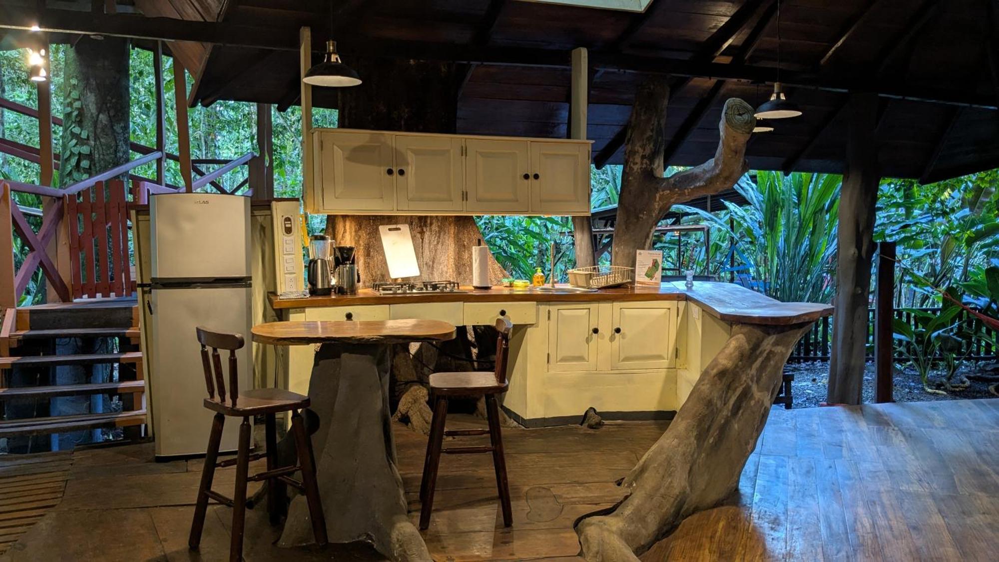 Tree House Beachfront Lodge Puerto Viejo de Talamanca Eksteriør billede