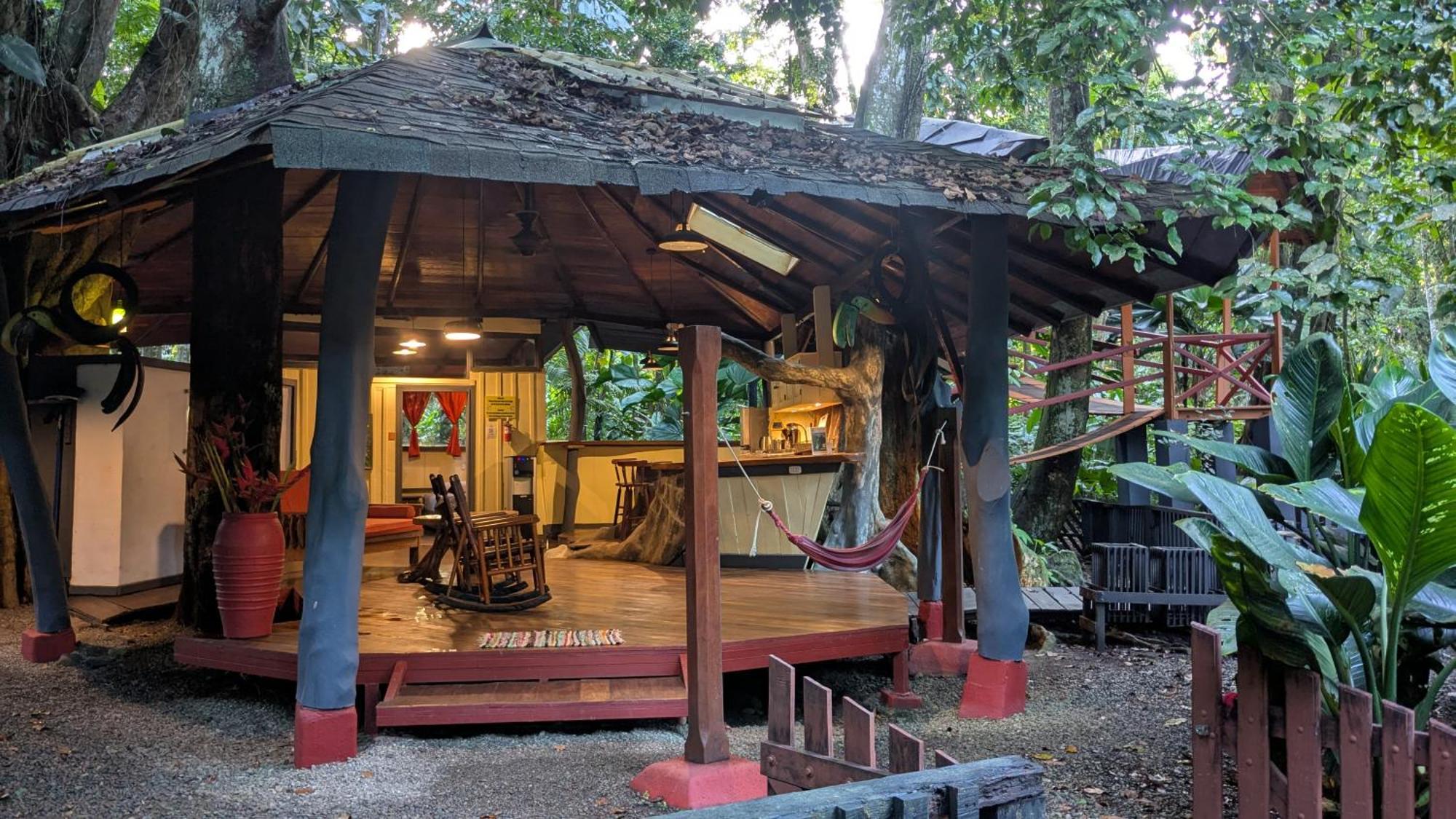 Tree House Beachfront Lodge Puerto Viejo de Talamanca Eksteriør billede