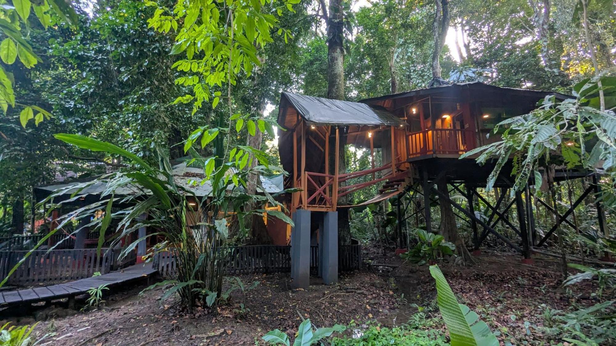 Tree House Beachfront Lodge Puerto Viejo de Talamanca Eksteriør billede