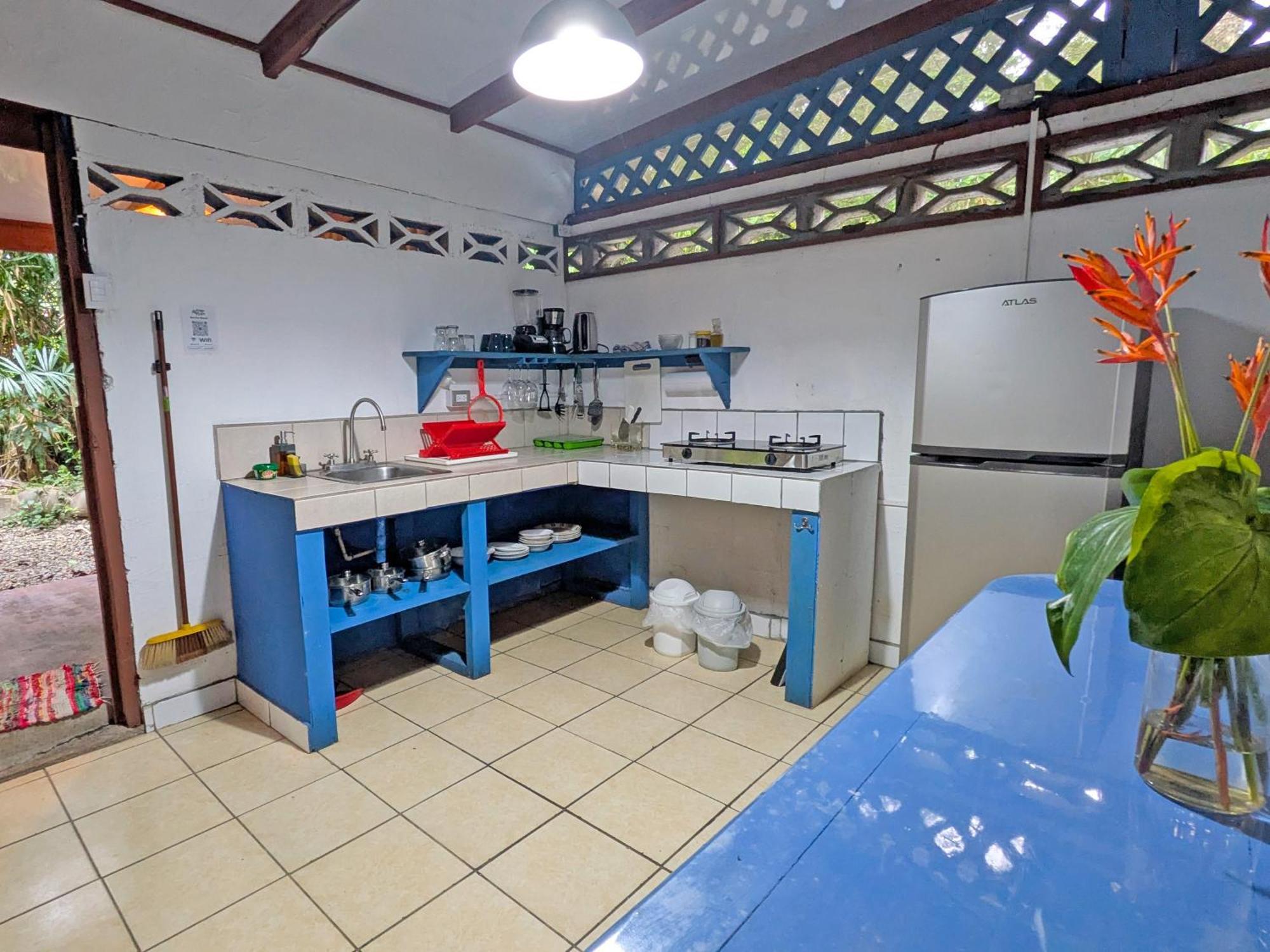 Tree House Beachfront Lodge Puerto Viejo de Talamanca Eksteriør billede